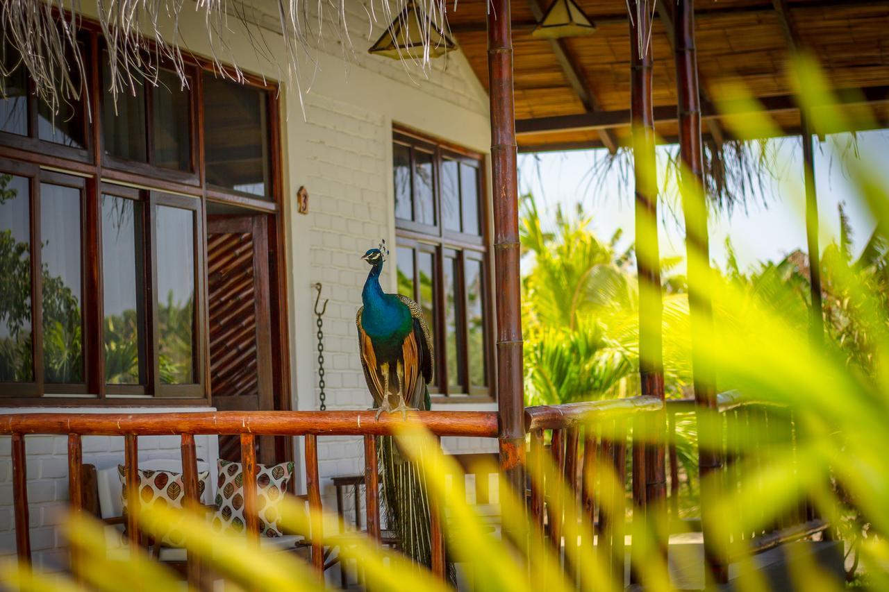 La Choza Bungalows Tambo Grande Kültér fotó